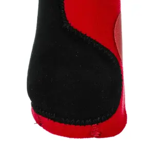 Botas traseiras para cavalos Pool's image-5