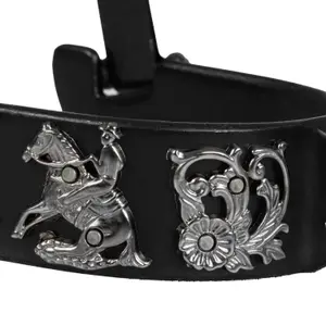 Western sporer Pool's Reining flowers image-3