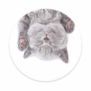Poignée smartphone Popsockets Cat Nap image-1