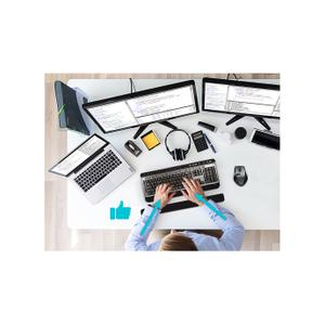 Repose-poignet souris ergonomique confort & précision Port Designs image-2