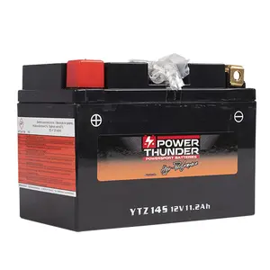 p49147-akku-power-thunder-ptz14s-schwarz-12v