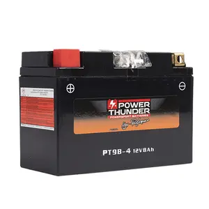 Μπαταρία Power Thunder PT9B-4 image-0