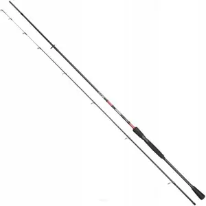 Spinning rods Powercatcher 2,40 m image-0