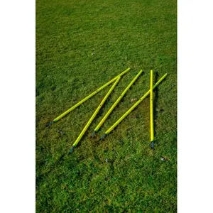 Piquet de slalom PowerShot image-0