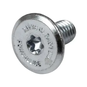 Torx mounting screws Powerslide image-0