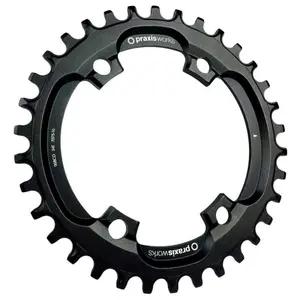 Fahrradscheibenteller Praxis 96BCD