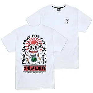 T-shirt Tealer Pray for cat image-0