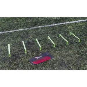 escala Precision Pinnacle image-0