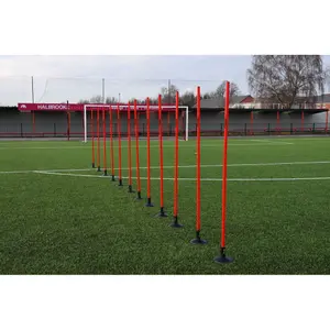 Training peg Precision (x12) image-0