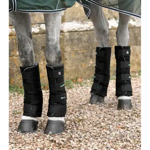 Μεταφορικές ποδιές για άλογα Premier Equine Bamboo Lite image-4