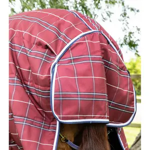 Stalldecke für Pferde Premier Equine Domus 400g image-4