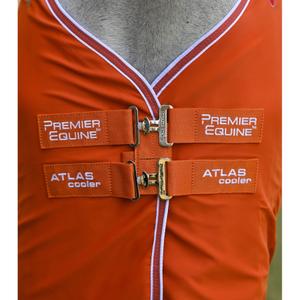 product/p/r/premier-equine-270050bo-burnt-orange-2.jpg