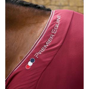 Drying Blanket Premier Equine Airtech image-2