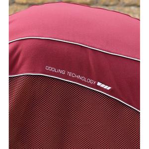 product/p/r/premier-equine-296050brg-burgundy-4.jpg