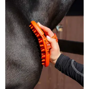 Μασάζ για άλογο με απαλό βούρτσισμα Premier Equine image-3