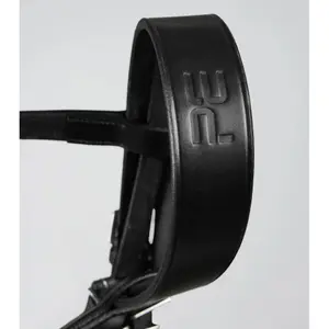 Bridles for horses Premier Equine Caveson image-1