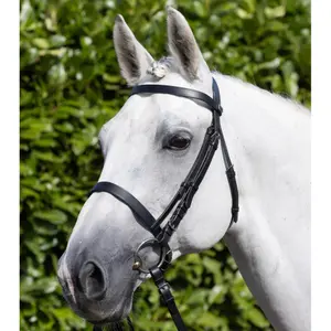 Bridles for horses Premier Equine Caveson image-5