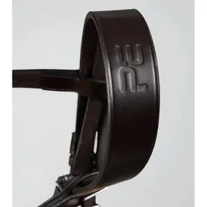 Bridles for horses Premier Equine Caveson image-1