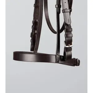 Bridles for horses Premier Equine Caveson image-4