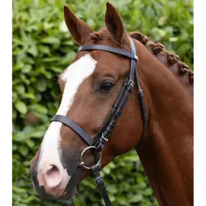 Bridles for horses Premier Equine Caveson image-5