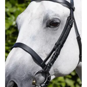Nosgrimma för häst Premier Equine Caveson image-3