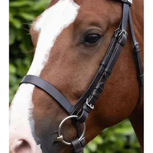 Nosgrimma för häst Premier Equine Caveson image-3