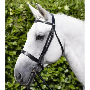 Frontale per cavallo Premier Equine Hunter image-4