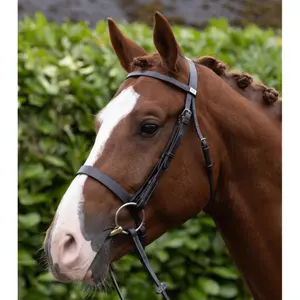Frontale per cavallo Premier Equine Hunter image-4