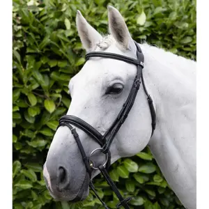 Riding bridle Premier Equine Pro Elevator image-4