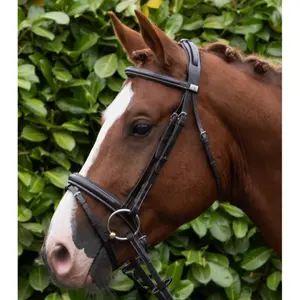 Frontal for horse Premier Equine Pro Elevator image-4