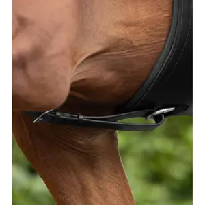 Martingala para caballos Premier Equine European Running image-3