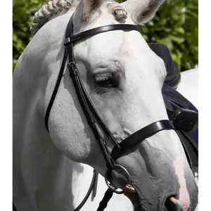 Net upright Premier Equine Hunter image-3