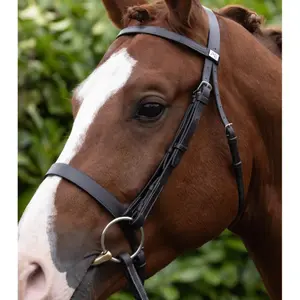 Net upright Premier Equine Hunter image-3