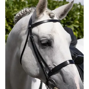 Testiera Premier Equine Hunter image-2