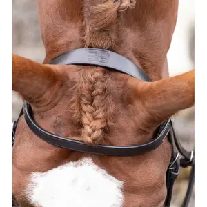 Testiera Premier Equine Hunter image-2