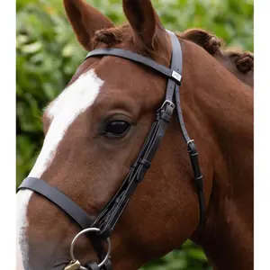 Testiera Premier Equine Hunter image-3