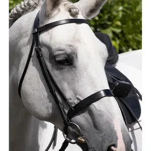Nosgrimma för häst Premier Equine Hunter Cavesson image-1
