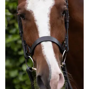 Nosgrimma för häst Premier Equine Hunter Cavesson image-1