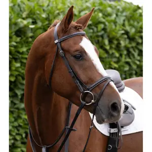 Nosgrimma för häst Premier Equine image-3