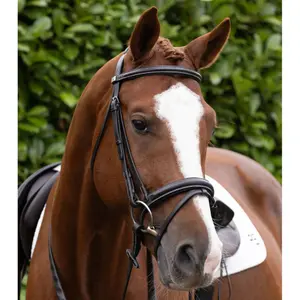 Nosgrimma för häst Premier Equine Pro Elevator image-3
