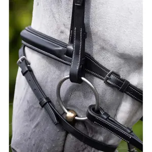Muserolle de caballo acolchada Premier Equine Pro Elevator image-5