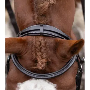 Testiera Premier Equine Pro Elevator image-4