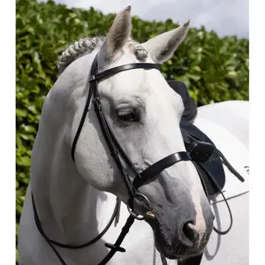 Frontale per cavallo Premier Equine Hunter image-5