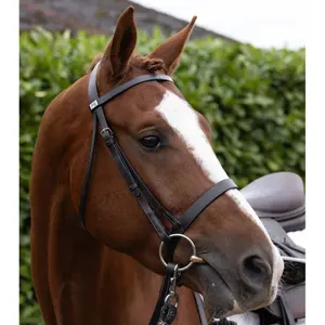 Frontale per cavallo Premier Equine Hunter image-5