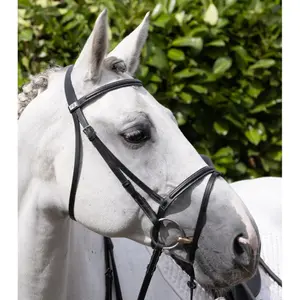 Frontal for horse Premier Equine Raised Jump image-5