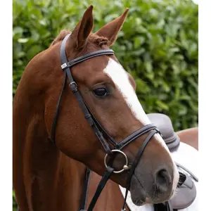 Frontal for horse Premier Equine Raised Jump image-3