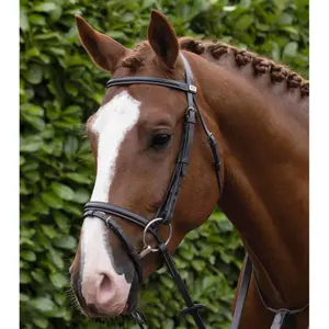 Frontal for horse Premier Equine Raised Jump image-4