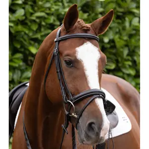 Frontal for horse Premier Equine Pro Elevator image-5