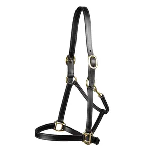 Halter for horse Premier Equine image-0