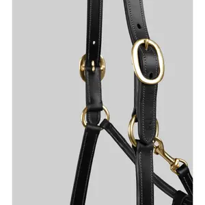Halter for horse Premier Equine image-1